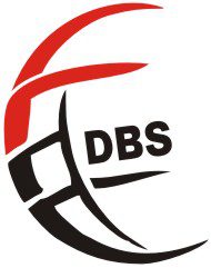 Digital Business Services (DigibizNG)